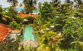 Turtle Eco Beach